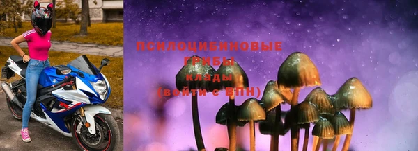 ешки Бугульма