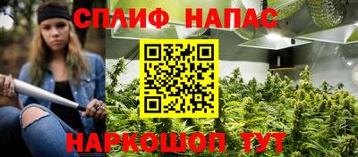 сатива Нальчик
