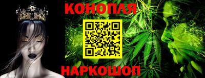 сатива Нальчик