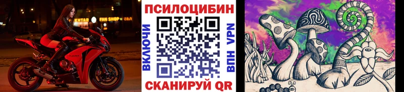 Псилоцибиновые грибы Cubensis  mega онион  Выборг  где найти наркотики 