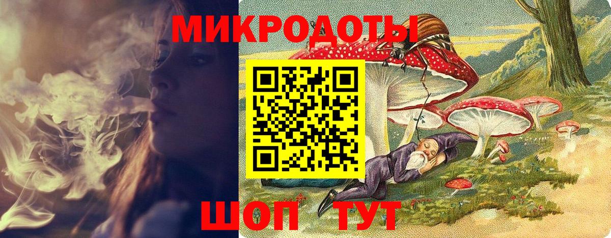 Псилоцибиновые грибы Psilocybe Выборг