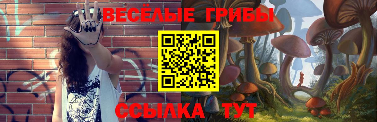 Выборг  Псилоцибиновые грибы Psilocybine cubensis  Галлюциногенные грибы мицелий  Вход с VPN 